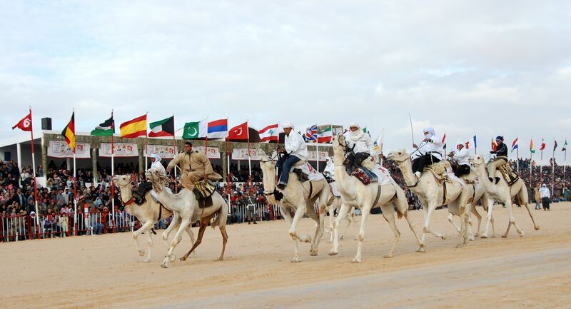 Файл:Camel Racing.jpg